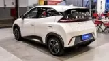 BYD Dolphin Mini - Miniatura 7