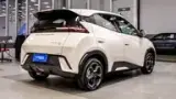 BYD Dolphin Mini - Miniatura 10