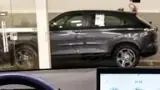BYD Dolphin Mini - Miniatura 12