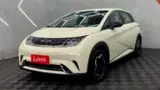 BYD Dolphin - Miniatura 1