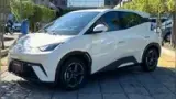 BYD Dolphin Mini - Miniatura 2