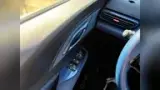 BYD Dolphin Mini - Miniatura 17