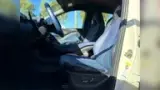 BYD Dolphin Mini - Miniatura 19