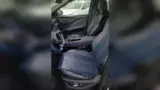 BYD Dolphin Mini - Miniatura 5