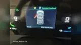 BYD Dolphin Mini - Miniatura 8