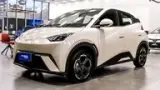 BYD Dolphin Mini - Miniatura 2
