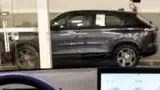 BYD Dolphin Mini - Miniatura 14