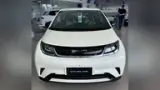 BYD Dolphin - Miniatura 1
