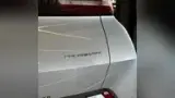 BYD Dolphin Mini - Miniatura 6