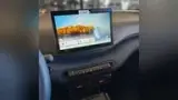 BYD Dolphin Mini - Miniatura 12