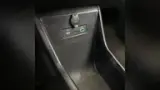 BYD Dolphin Mini - Miniatura 14