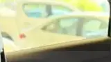 BYD Dolphin Mini - Miniatura 17