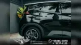 BYD Dolphin Mini - Miniatura 8