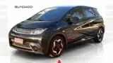 BYD Dolphin - Miniatura 1