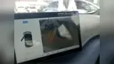 BYD Dolphin Mini - Miniatura 6