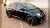 BYD Dolphin - Miniatura 1