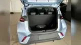 BYD Dolphin Mini - Miniatura 8