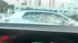 BYD Dolphin Mini - Miniatura 10