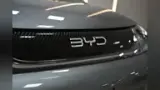 BYD Dolphin - Miniatura 12