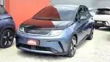 BYD Dolphin Plus - Miniatura 1