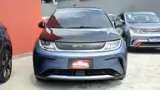 BYD Dolphin Plus - Miniatura 3