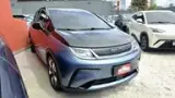 BYD Dolphin Plus - Miniatura 4