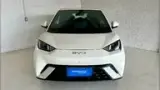 BYD Dolphin Mini - Miniatura 1