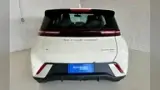 BYD Dolphin Mini - Miniatura 2