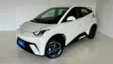 BYD Dolphin Mini - Miniatura 3