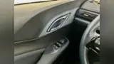 BYD Dolphin Mini - Miniatura 15