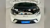 BYD Dolphin Mini - Miniatura 16