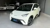 BYD Dolphin Mini - Miniatura 1