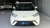 BYD Dolphin Mini - Miniatura 2
