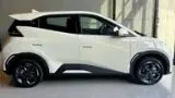 BYD Dolphin Mini - Miniatura 4