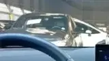 BYD Dolphin Mini - Miniatura 4