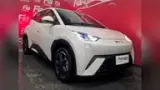 BYD Dolphin Mini - Miniatura 2