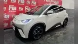 BYD Dolphin Mini - Miniatura 3