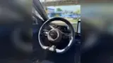 BYD Dolphin Mini - Miniatura 3