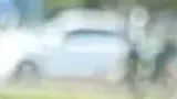 BYD Dolphin Mini - Miniatura 4