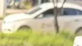 BYD Dolphin Mini - Miniatura 7