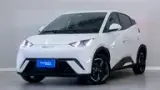 BYD Dolphin Mini - Miniatura 1