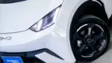 BYD Dolphin Mini - Miniatura 4