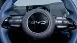 BYD Dolphin Mini - Miniatura 16