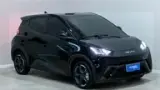 BYD Dolphin Mini - Miniatura 6
