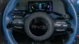 BYD Dolphin Mini - Miniatura 19