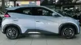 BYD Dolphin Mini - Miniatura 8