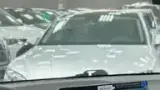 BYD Dolphin Mini - Miniatura 9