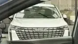 BYD Dolphin Mini - Miniatura 12