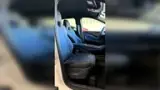 BYD Dolphin Mini - Miniatura 5