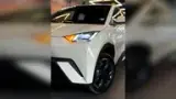 BYD Dolphin Mini - Miniatura 5